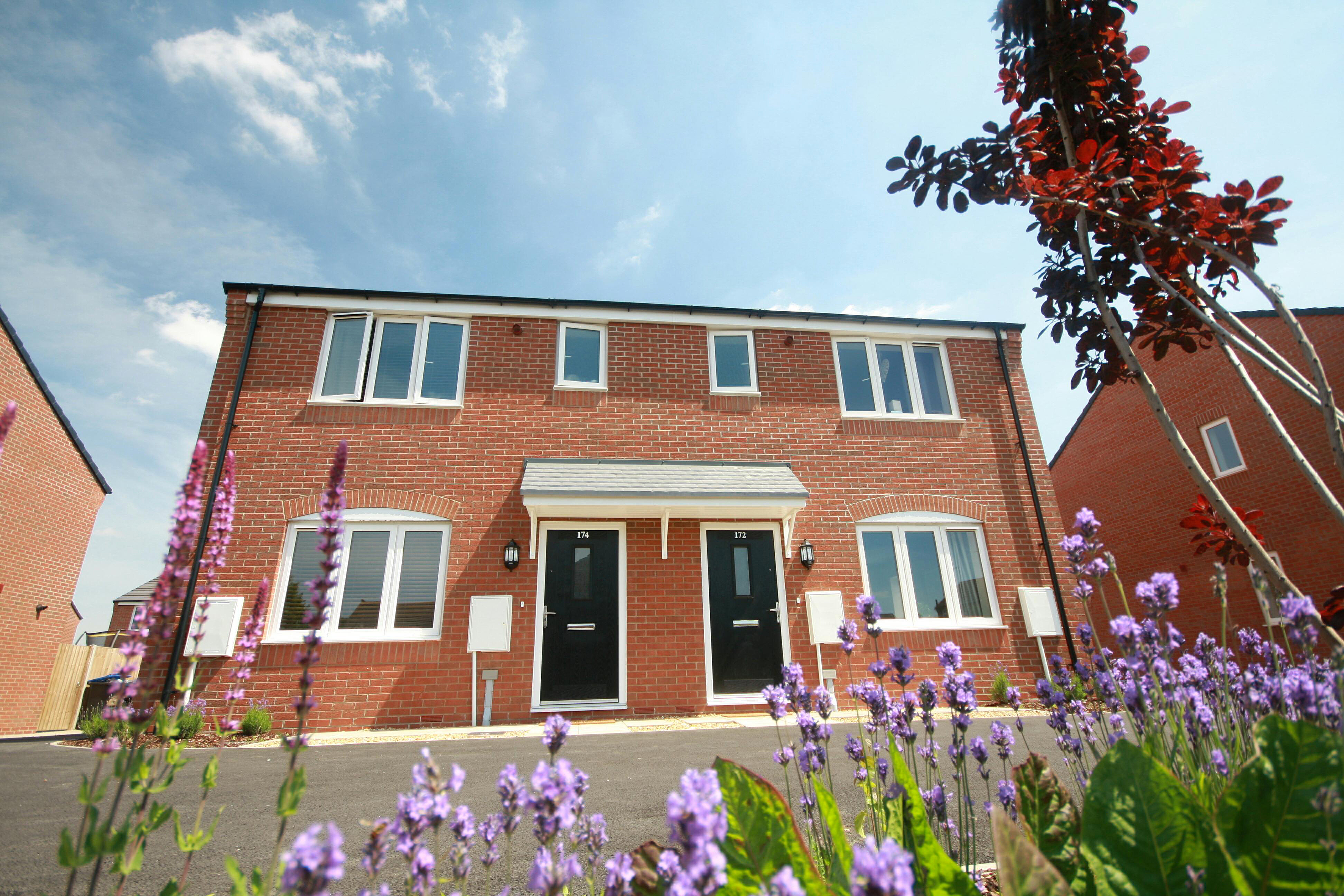 Photograph of a modern semi-detached house with flowers in the foreground