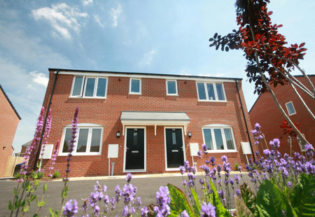Photograph of a modern semi-detached house with flowers in the foreground