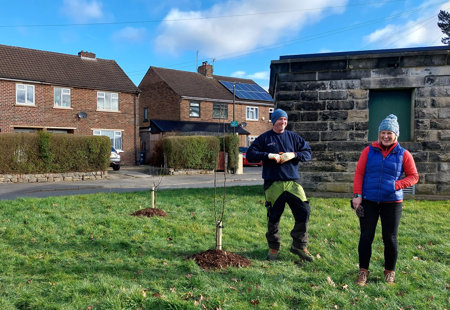 Photo of a man and a woman wearing winter clothes standing by some small, newly planted trees on a grassed area on a residential street