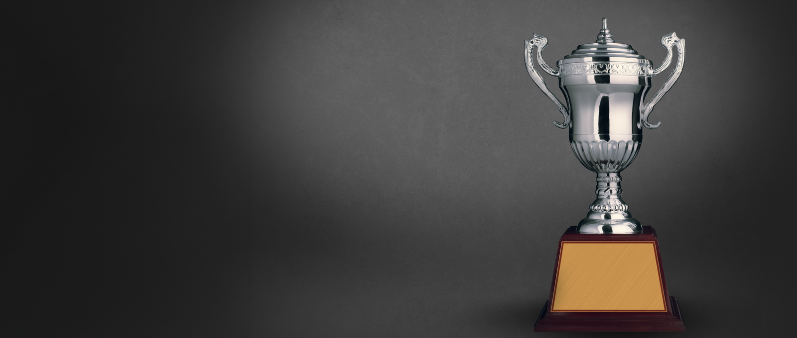 Photo of a silver trophy displayed against a grey shaded background